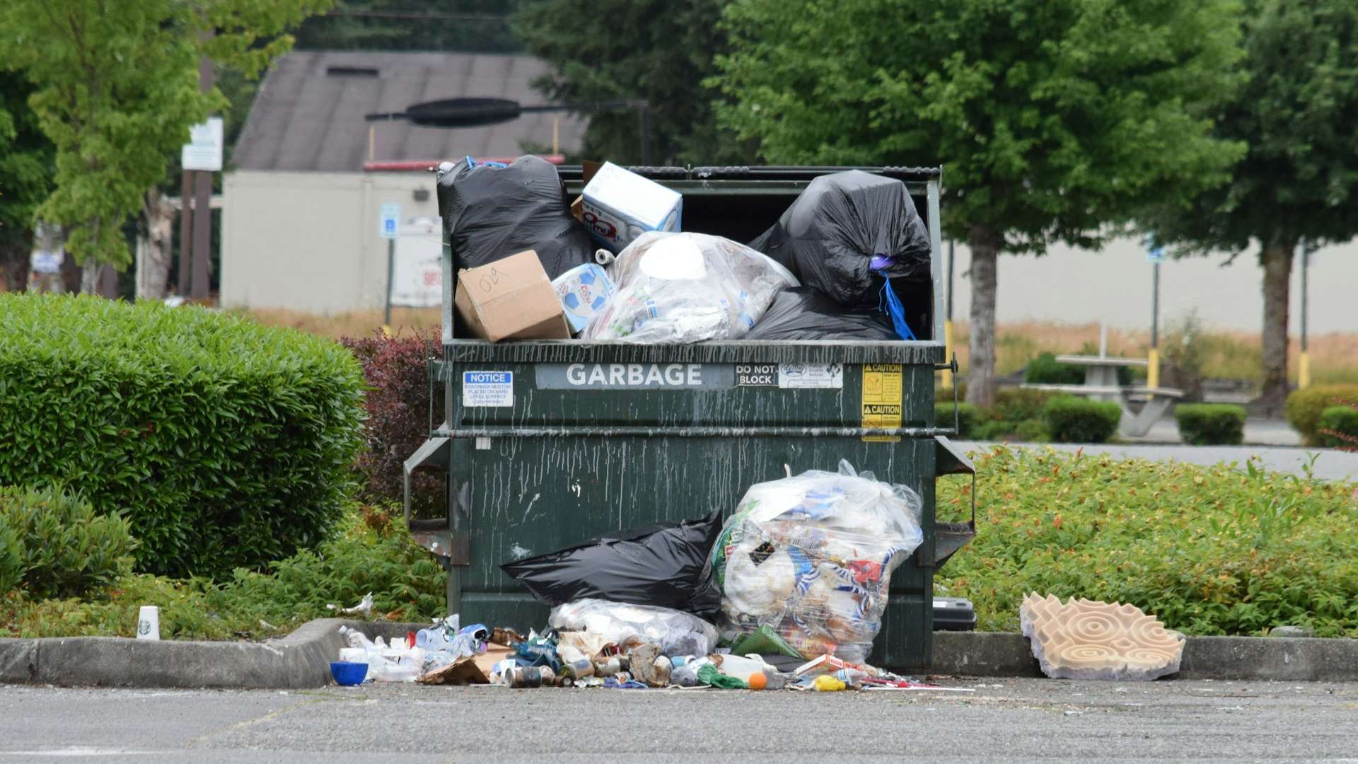 Junk removal services in Lake Havasu City, AZ