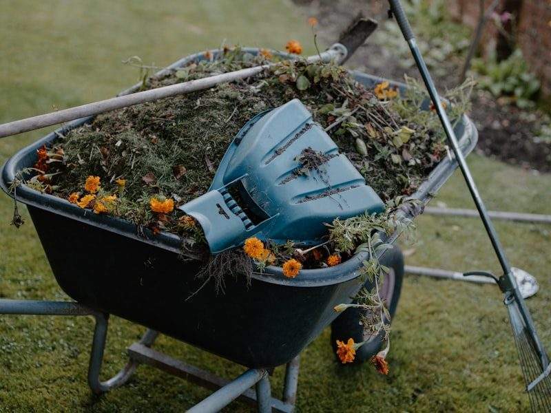 Yard waste removal in Lake Havasu City, AZ